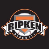 Ripken Rays Florida Baseball - Other in Port Charlotte