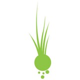 Green Thumb Lawn Service - Lawn Services in Gainesville