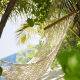 No Worries Property Maintenance - Lawn Services in Pompano Beach