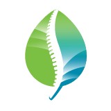 Gulf Coast Spine Institute - Medical Centers in Spring Hill