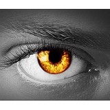 At & I Systems - Wholesale in Fort Lauderdale