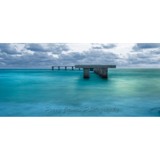 Perry James Photography - Other in Port Charlotte