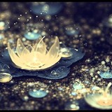 Harmony Wellness Group - Massage in Fort Myers
