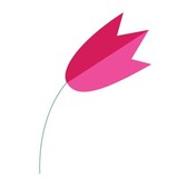 Carrollwood Florist Inc - Florists in Tampa