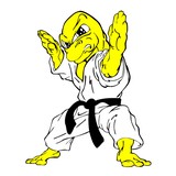 Martial Arts Advantage - Martial Arts in Tampa