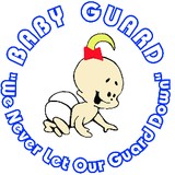 Baby Guard Pool Fence of Jacksonville, Florida - Fences & Gates in Jacksonville