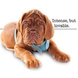 Pet World - Pet Stores in Jacksonville