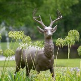 Deerwood Country Club - Golf in Jacksonville