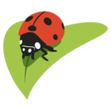 Trads Of Jacksonville Inc - Landscaping in Jacksonville