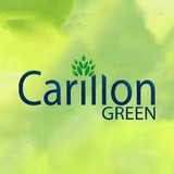Carillon Green Inc - Chemicals & Pharmaceuticals in Tampa