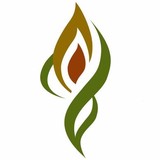 Ihc Health Solutions - Health & Medical Insurance in Tampa