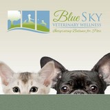 BlueSky Veterinary Wellness - Veterinarians/Vets in Jacksonville Beach