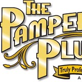 The Pampering Plumber Inc - Plumbing in Odessa