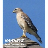 Hawkeye Pest Control, Inc. - Pest Control in Odessa