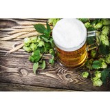 Just Brew It - Beer, Wine & Spirits in Jacksonville