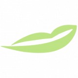 Saylor Larry L Ii Dmd Pa - Dentists in Brandon