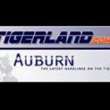 Tigerland LLC - Landscape Architects in Tampa