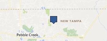 Need SEO location map