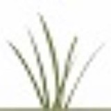 Signature Lawn Care Plus LLC - Lawn Services in Jacksonville