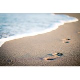 Beaches Rehabilitation Center - Other in Neptune Beach