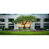 Estate Scape Services - Lawn Services in Fort Myers