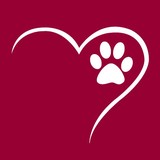 Humane Society of Tampa Bay - Veterinarians/Vets in Tampa