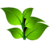 GreenWorks Lawn Care LLC - Lawn Services in Tallahassee
