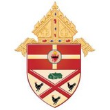 CO-Cathedral of St Thomas More - Churches in Tallahassee