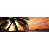 Creciente Condominium Assn Inc - Other in Fort Myers Beach