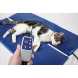 Vet-I-Care Animal Hospital - Veterinarians/Vets in Jacksonville