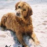 Cape Escape  Vacation Rentals, LLC - Other in Port Saint Joe