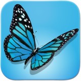 Metamorphosis Consulting - Business Consulting in Vero Beach