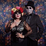 Negroni Studio, LLC, Max Hooks Road, Groveland, FL - Other in Groveland