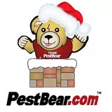Pest Bear - Pest Control in Jacksonville