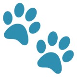 Caloosa Humane Society Inc - Other in LaBelle