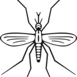 East Flagler Mosquito Control - Pest Control in Palm Coast