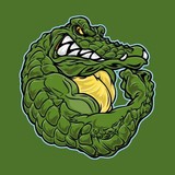 Gator Clean - Cleaning Services in Eustis