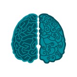Ris Imaging Center Inc - Doctors in Plant City