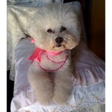 Bonnie's Floral Designs - Florists in Jacksonville