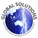 Global Solutions LLC - Business Consulting in Spring Hill