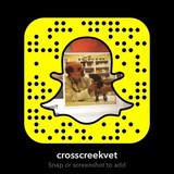 Cross Creek Animal Medical Center - Medical Centers in Tampa