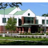 Carrollwood Music - Musical Instruments & Services in Tampa