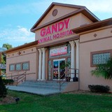 Gandy Animal Hospital - Veterinarians/Vets in Tampa