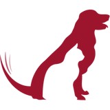 Family Pet Hospital - Veterinarians/Vets in Jacksonville