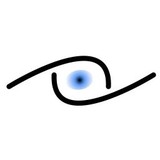 Surveillance Specialist Group - Other in Valrico