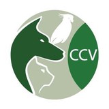 Trakas Nicole DVM - Veterinarians/Vets in Tampa
