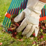 Brent's Lawn & Tree Service - Lawn Services in North Fort Myers