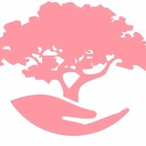 AAA Tree Experts Inc - Tree Services in Tallahassee