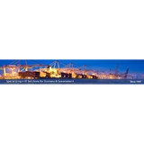 Blue Dolphin Software - Business Consulting in Jacksonville Beach