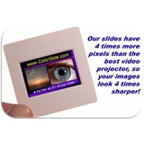 Konoldkreationscolorslide.com - Manufacturer in Tampa